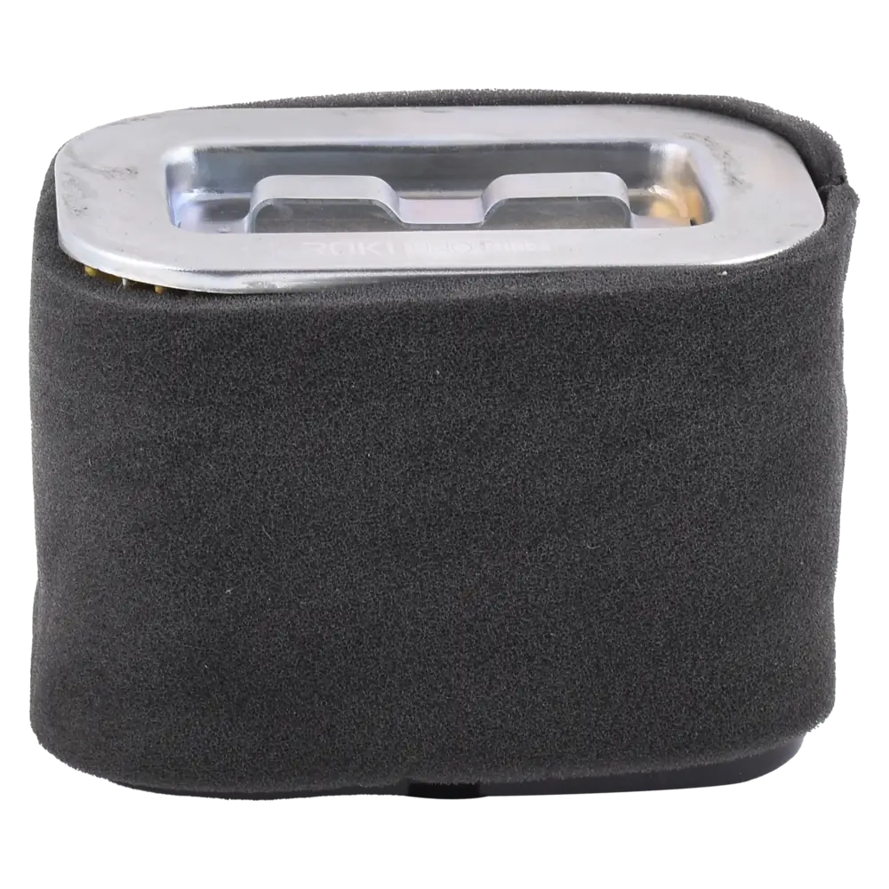 TVS NTorq 125 Air Filter